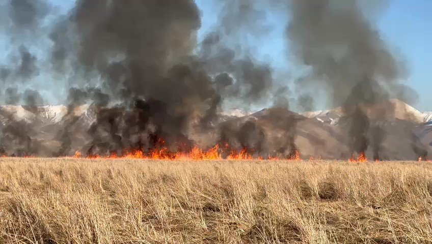 Yüksekova’da Nehil Sazlığı’nda korkutan yangın! Birçok kuş türü yaşıyordu