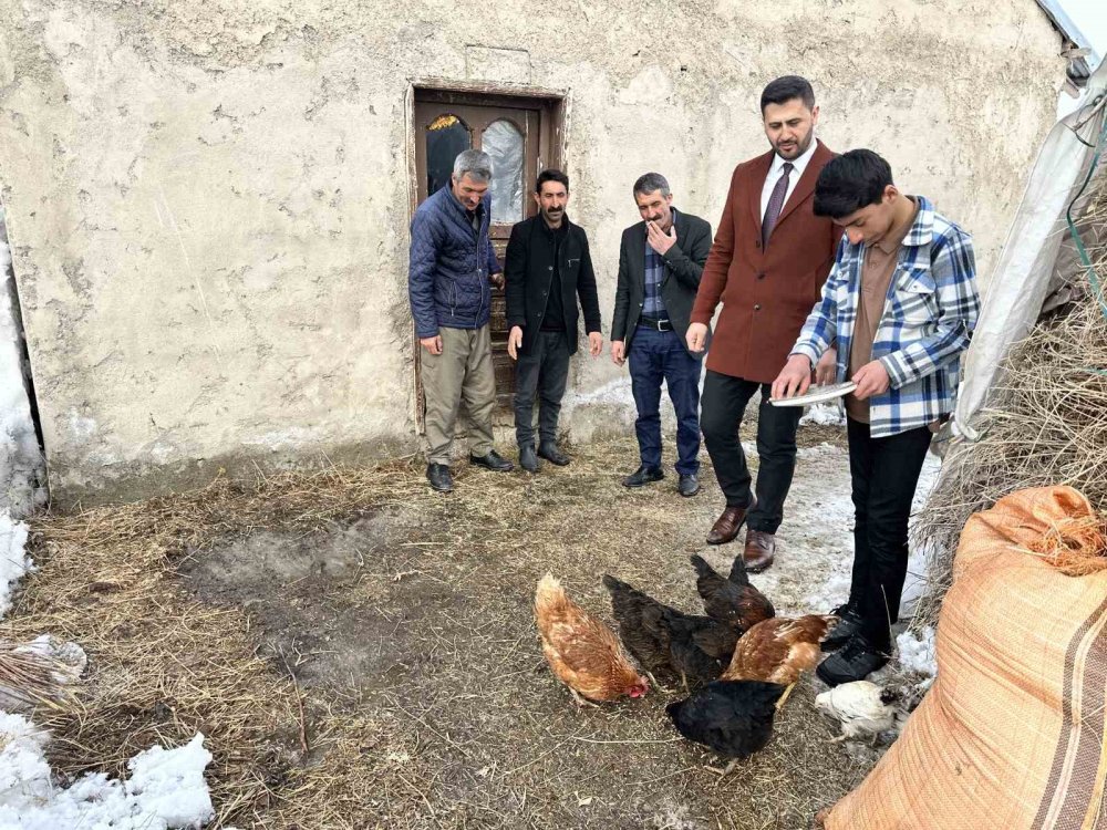 Hakkari Yüksekova'da görülmemiş girişim: Yatak odasında civciv üretimi