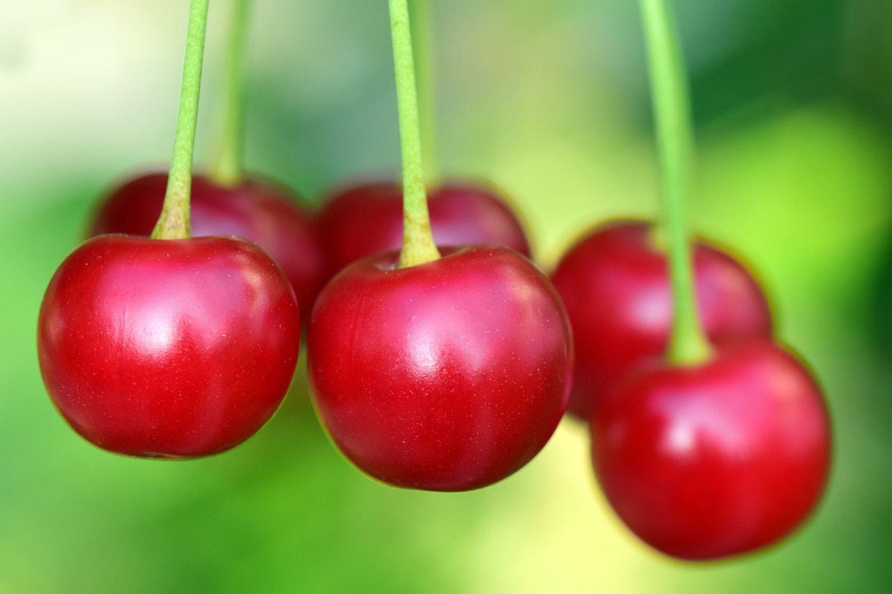 cherries-3477927-1280.jpg