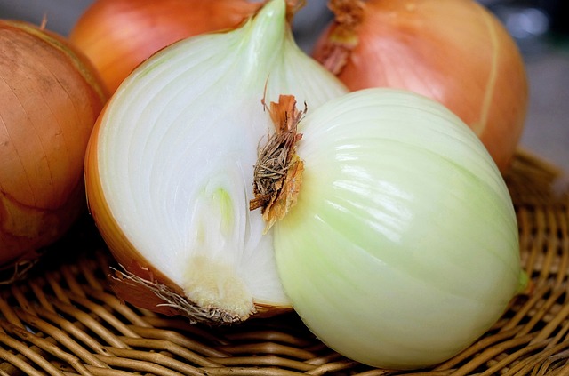 onion-1144620-640.jpg