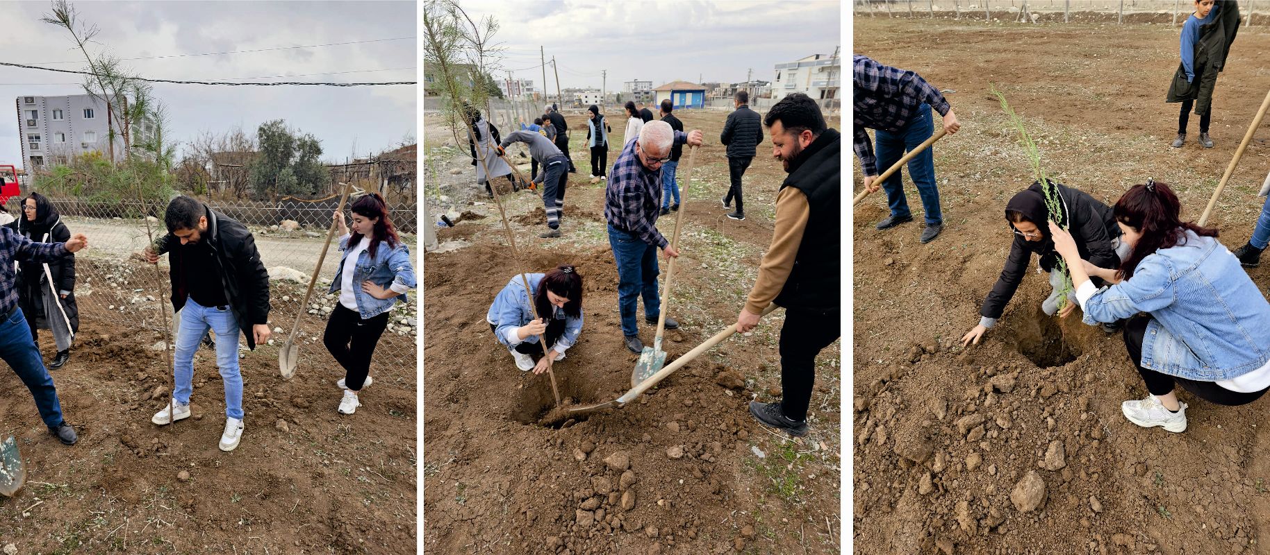 silopi-fidan-agac-dikimi1.jpg