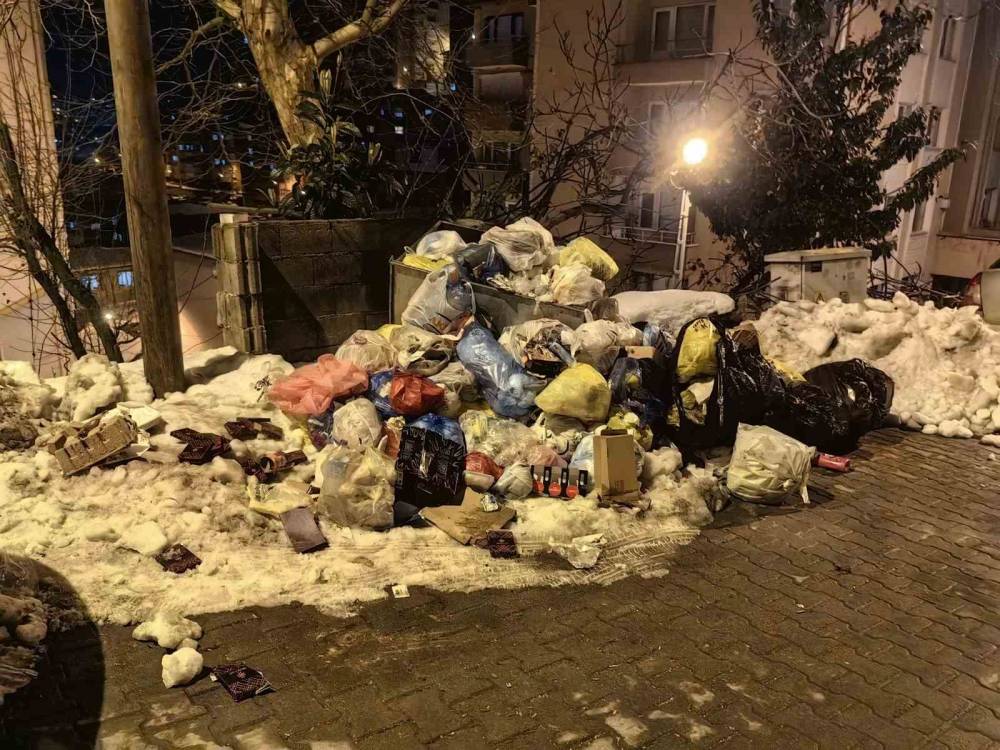 Zonguldak’ta toplanmayan çöpler tepkilere neden oldu