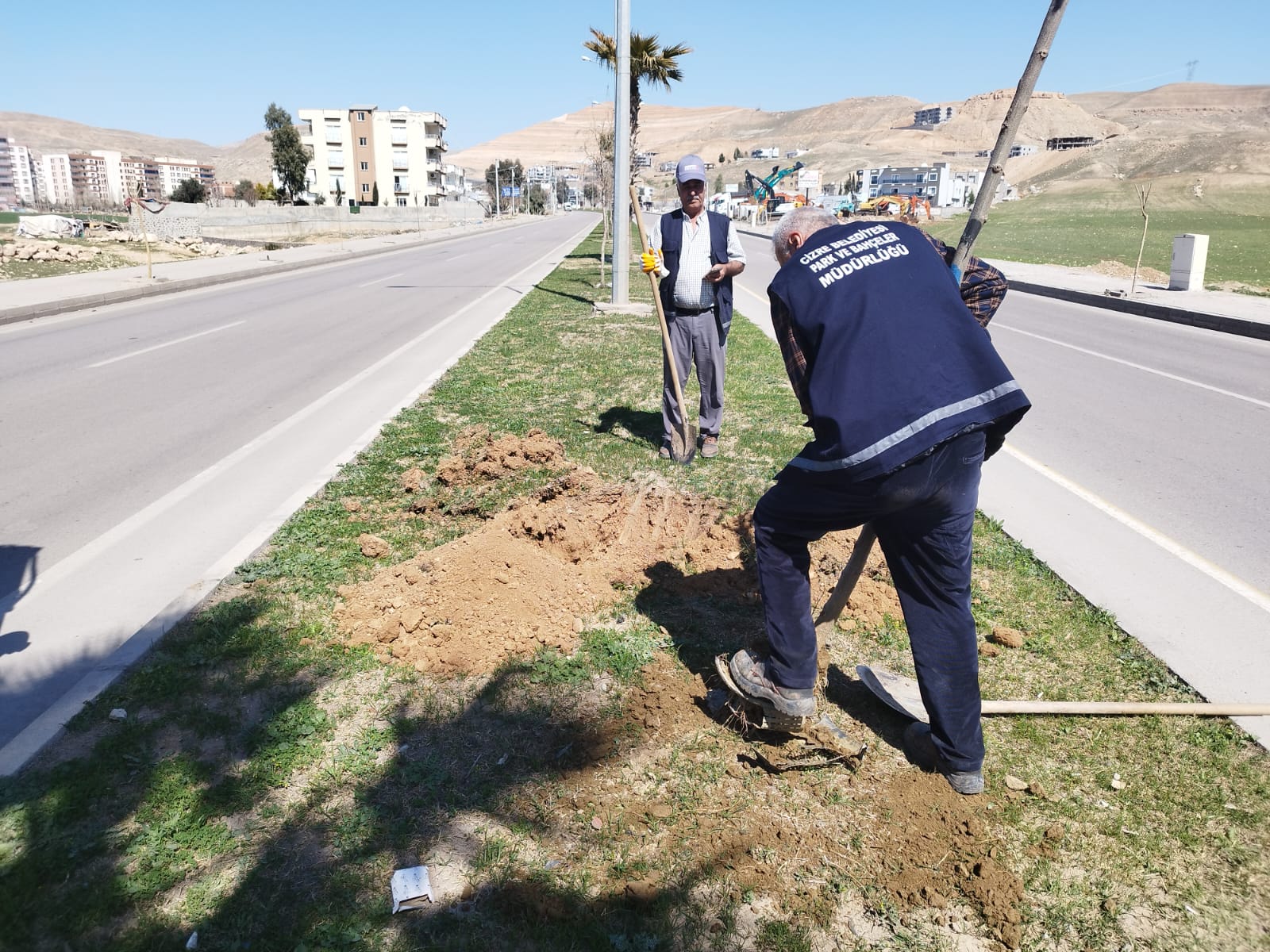 cizrede-agaclandirma-calismalari-devam-ediyor-3.jpg