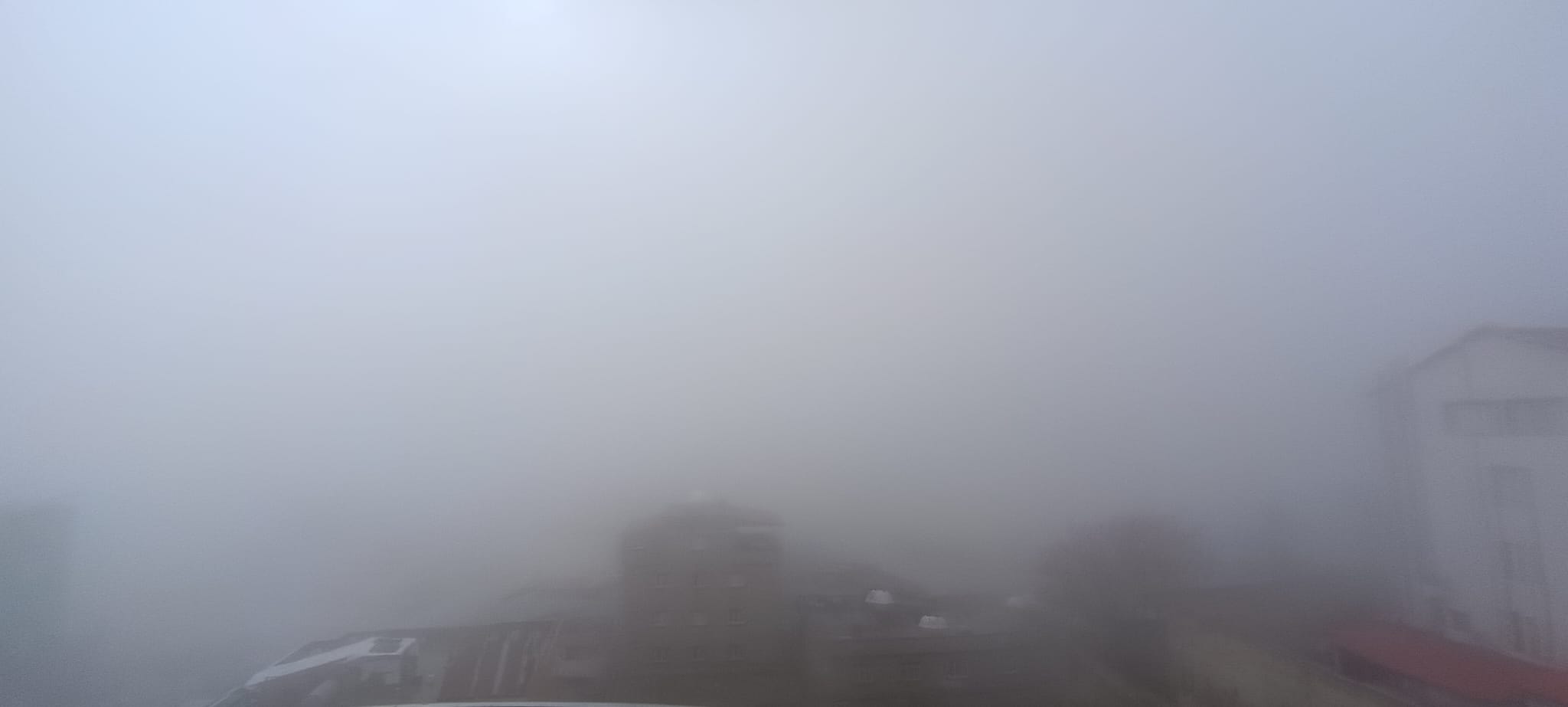 fdsfdsfsf.jpeg