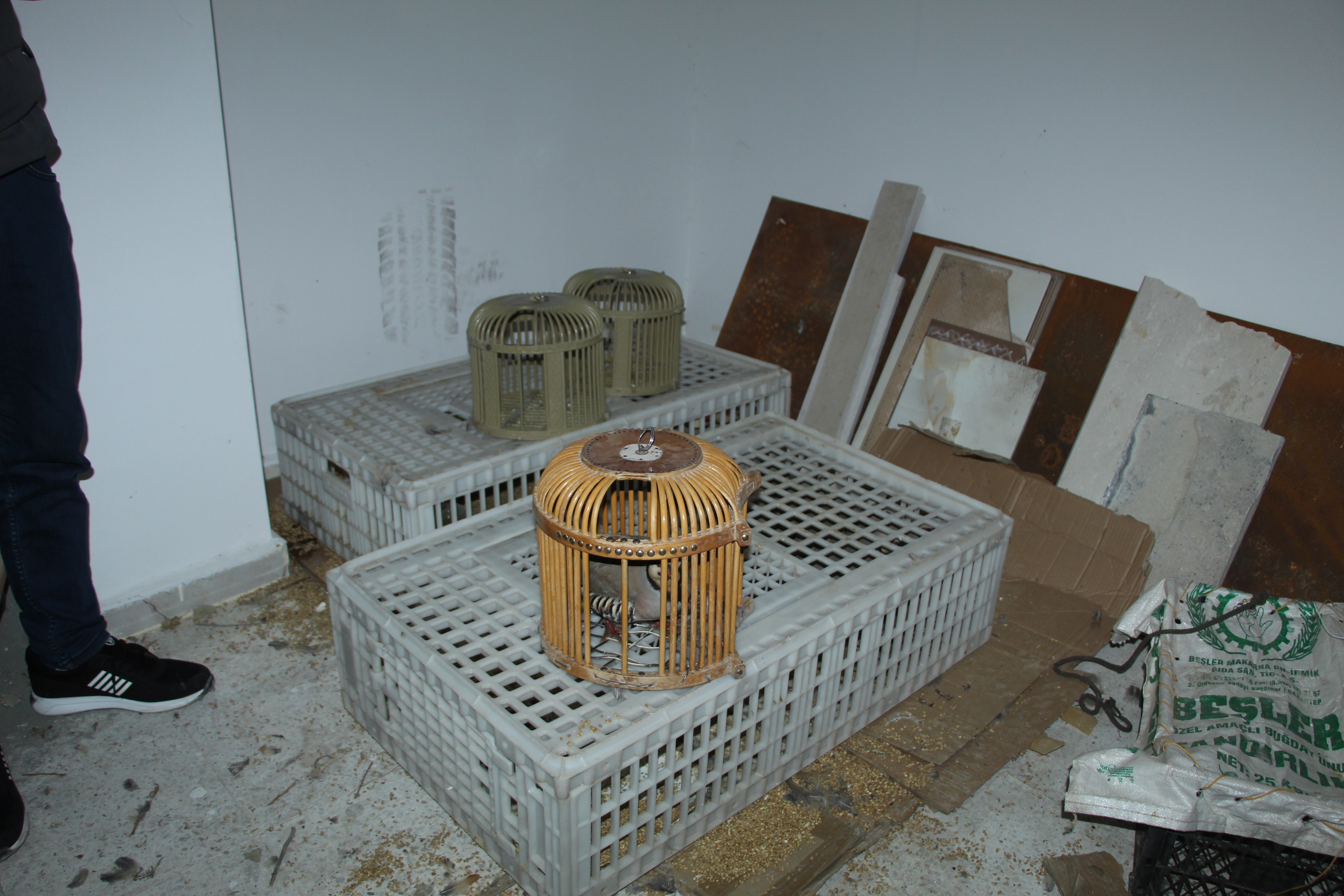 aw433931-03.jpg