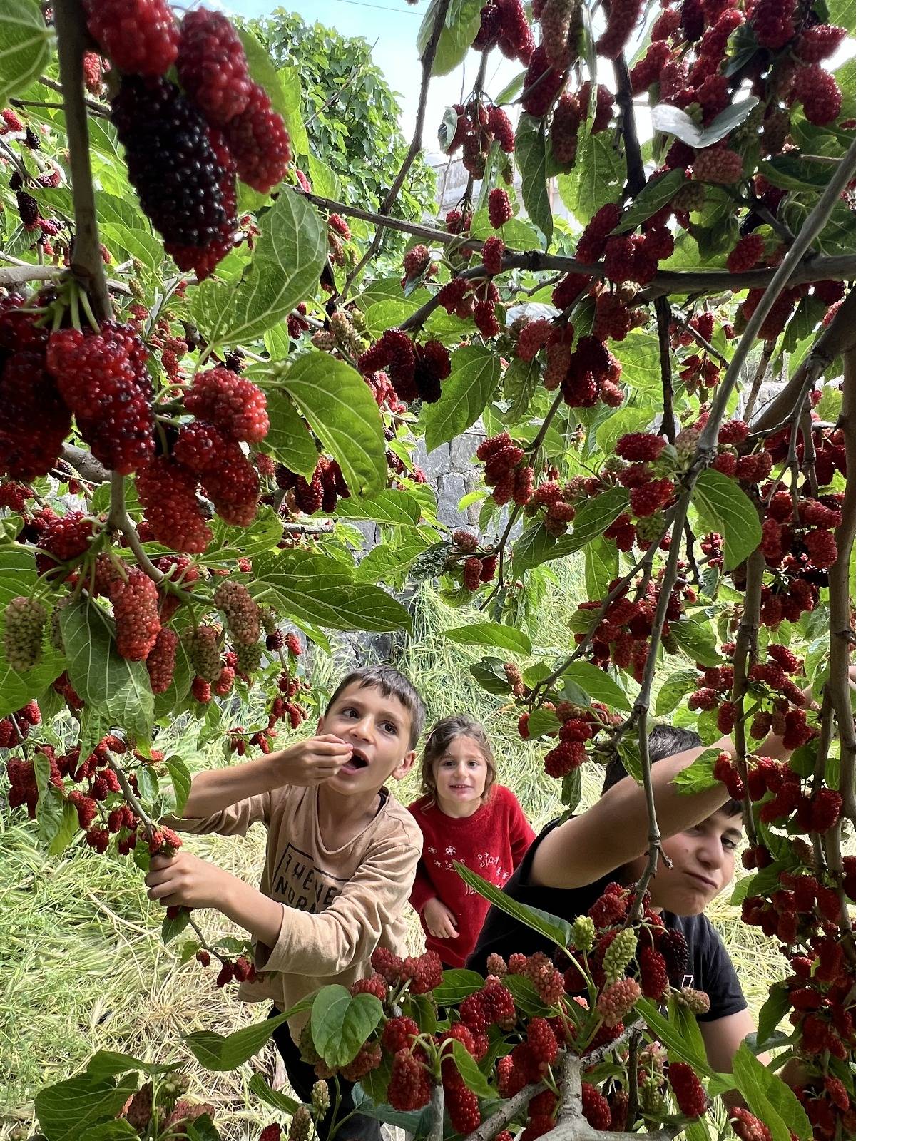 sirnakta-ogretmenler-arasi-fotograf-yarismasi-sonuclandi-3.jpg