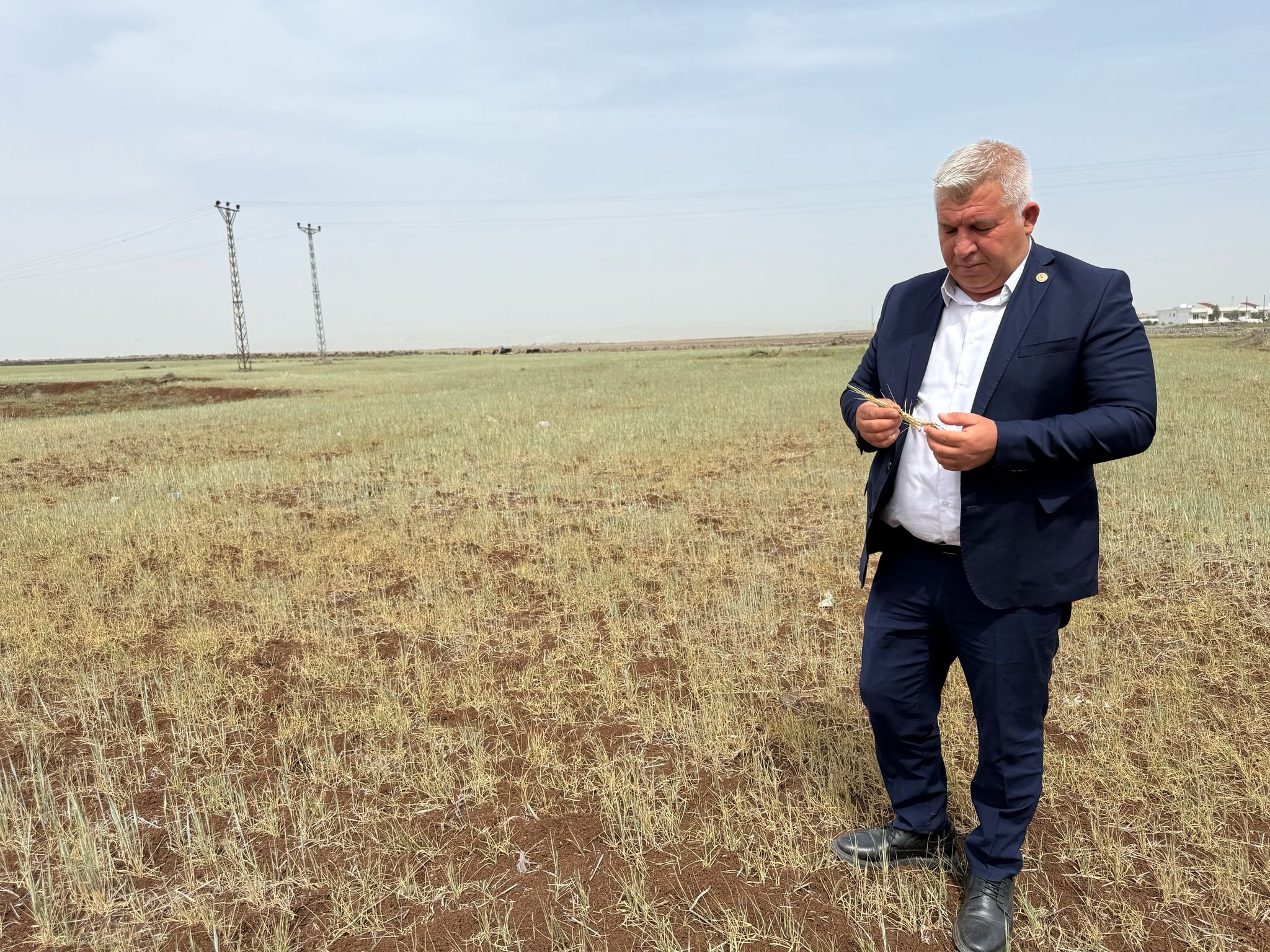 cizre-ziraat-odasi-baskani-ekinleri-kuruyan-ciftciler-icin-destek-talebinde-bulundu-5.jpeg
