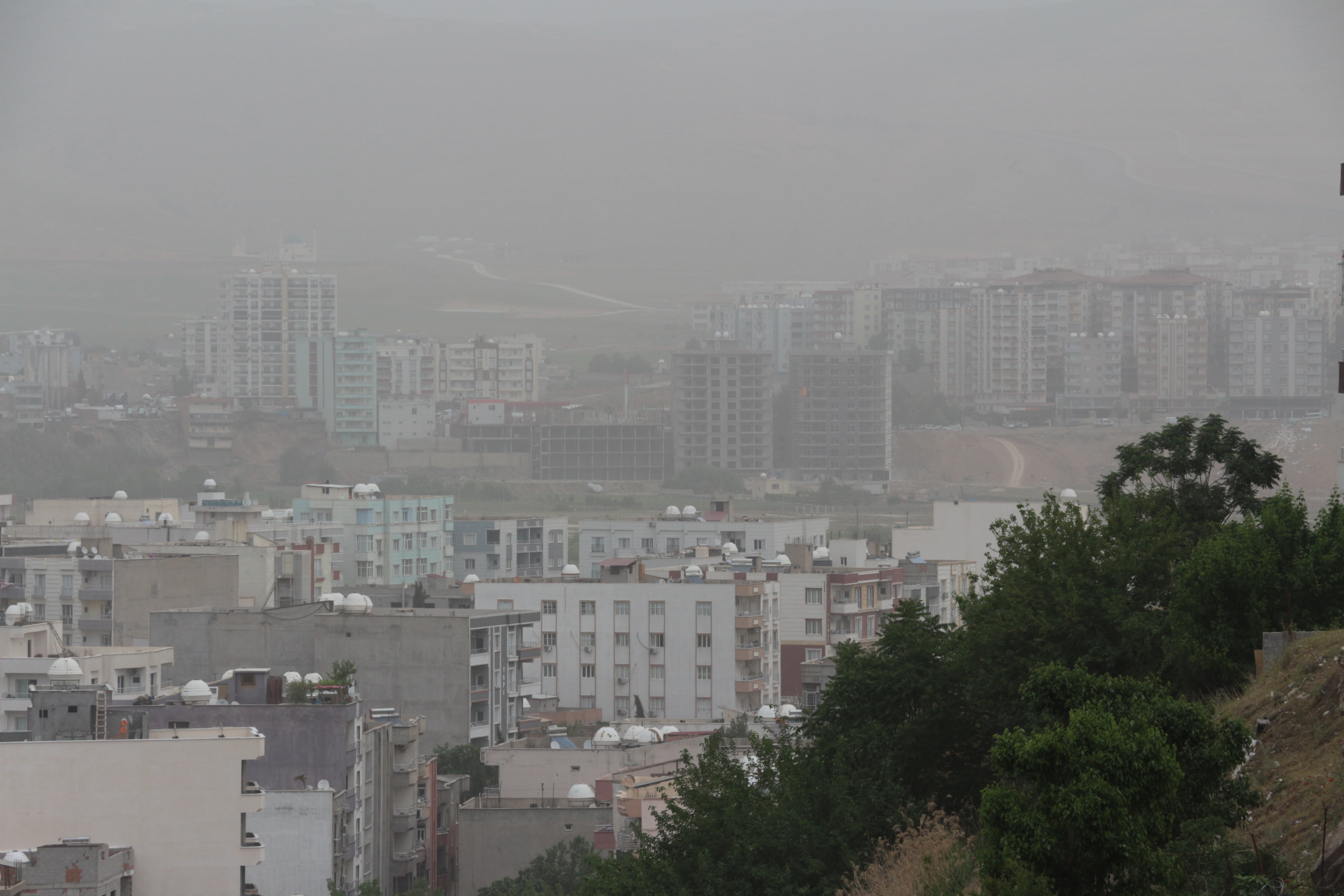 img-3272.jpg