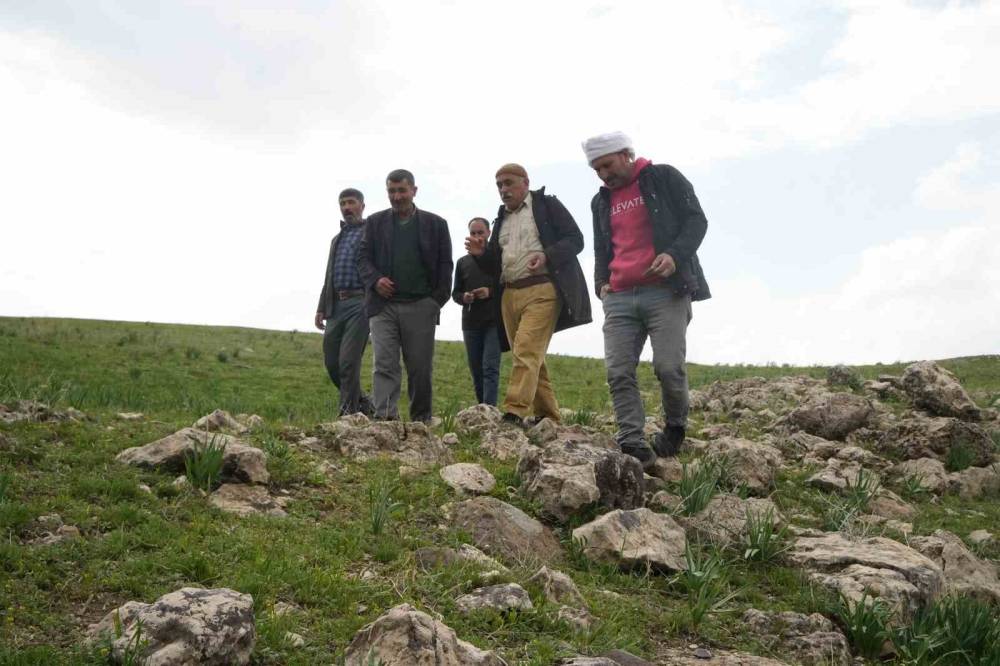 Muş’ta köylüler yeni bir kale keşfettiler: Herkes oraya akın ediyor